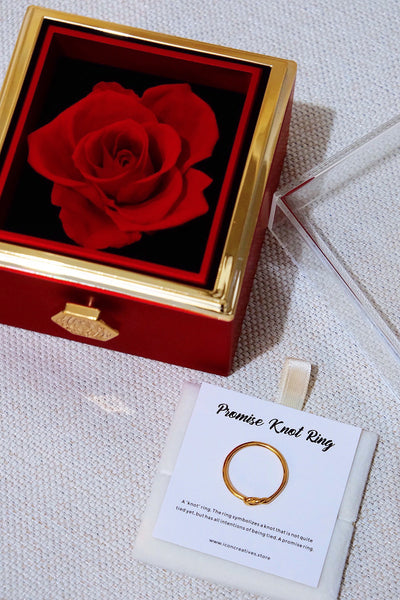 Preserved Flower Rose Twist-and-View Box 🌹