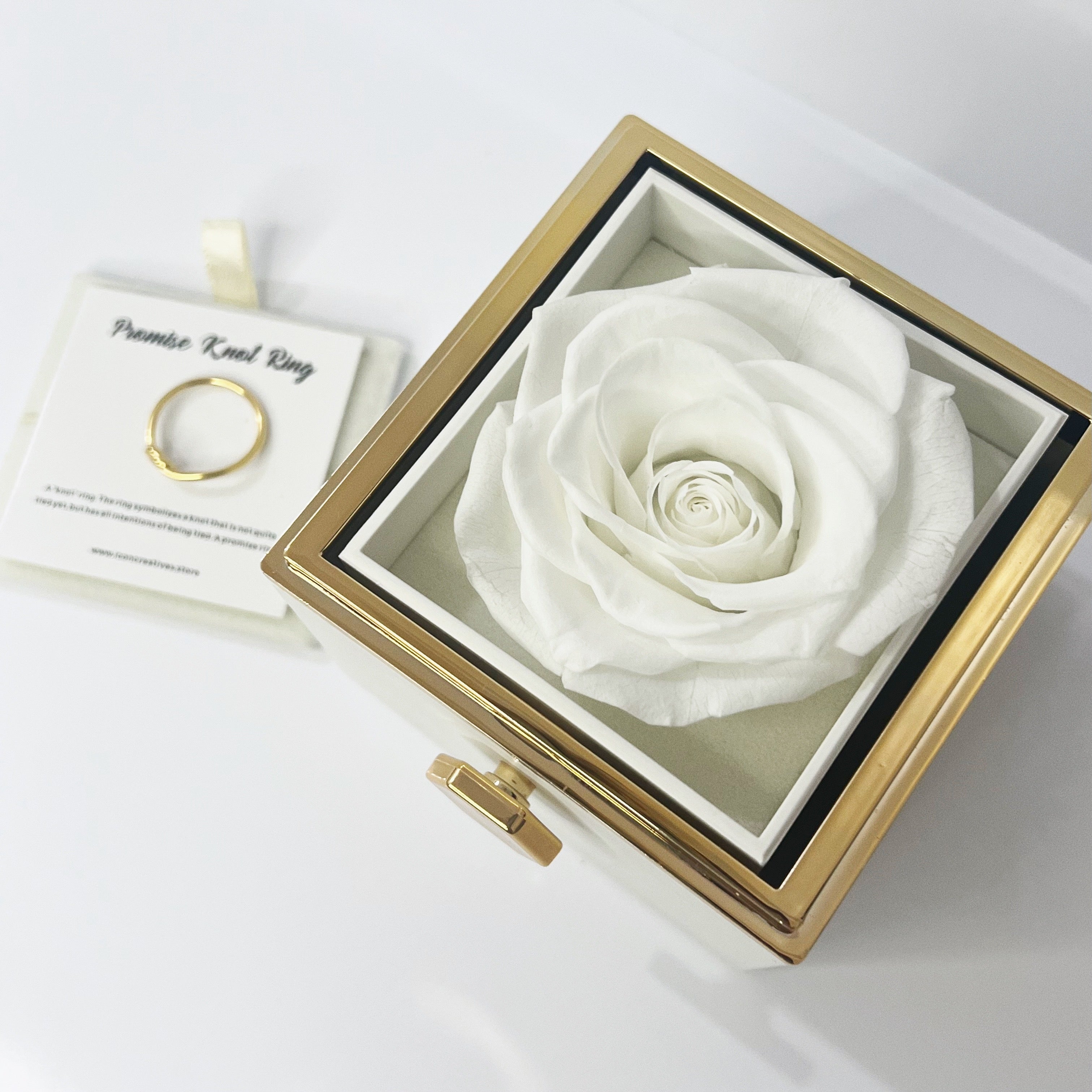 Preserved Flower Rose Twist-and-View Box 🌹