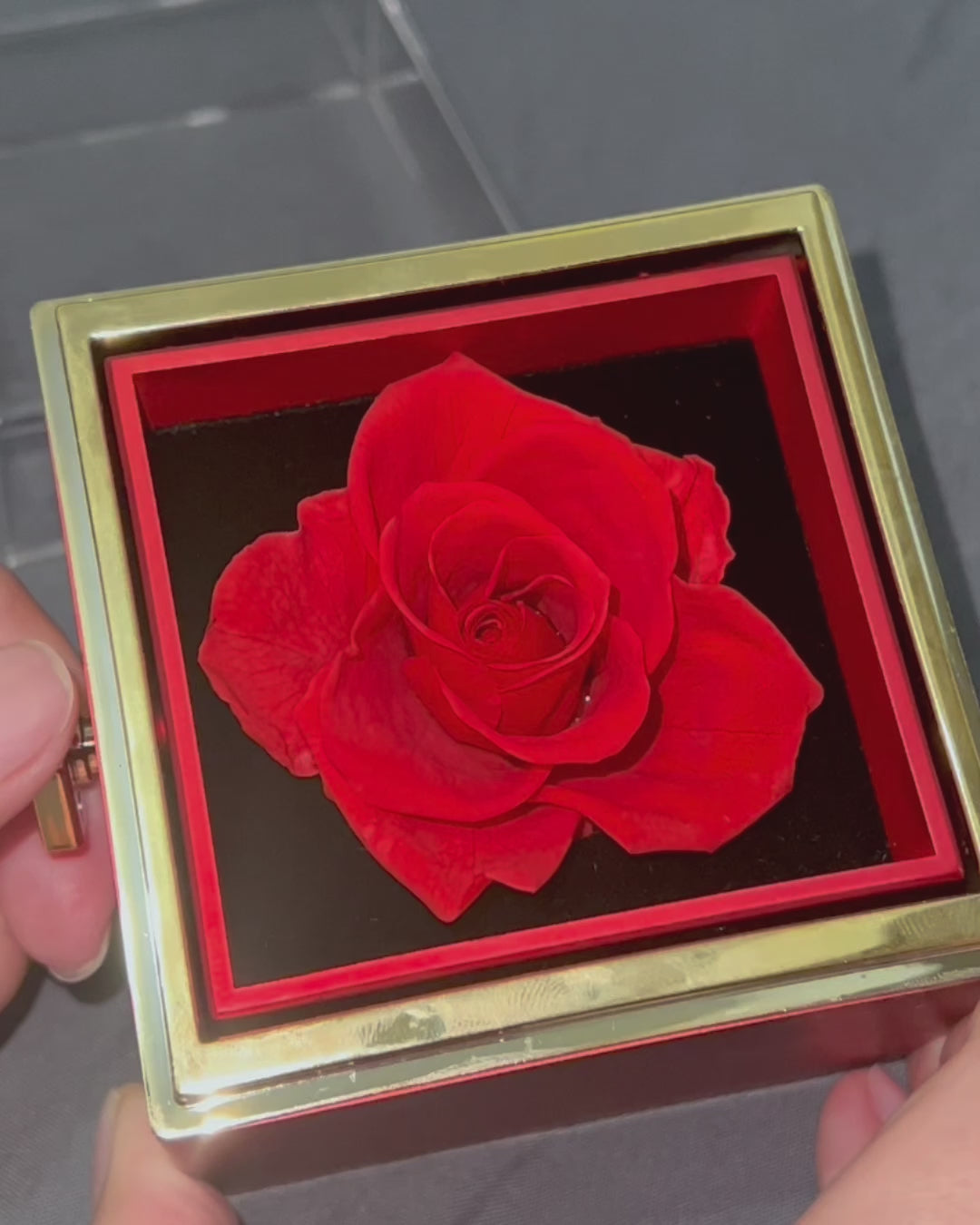 Preserved Flower Rose Twist-and-View Box 🌹